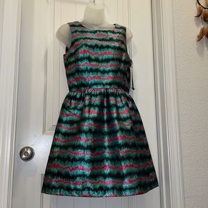 NWT French Connection Siberian Stripe Dress